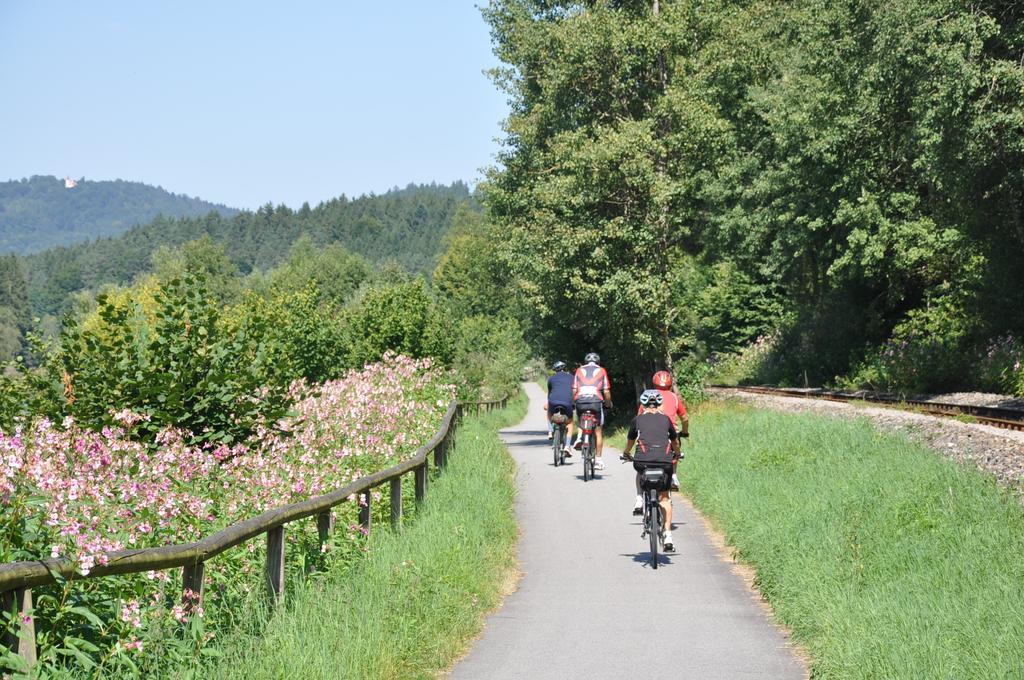 Ferienwohnung Regentalblick Miltach Kültér fotó